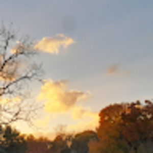 Meet your Posher, Kate natalia